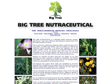 Tablet Screenshot of bigtreehealth.com